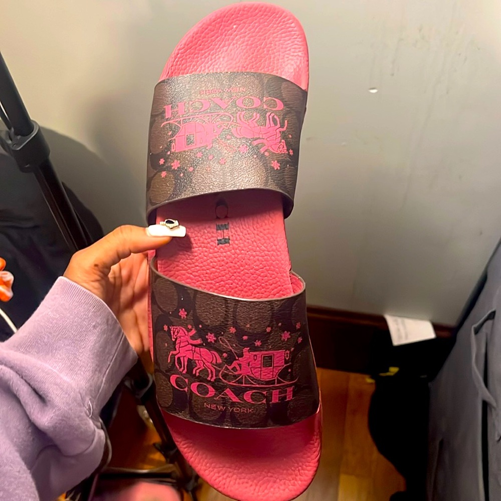 Magenta Coach Slides